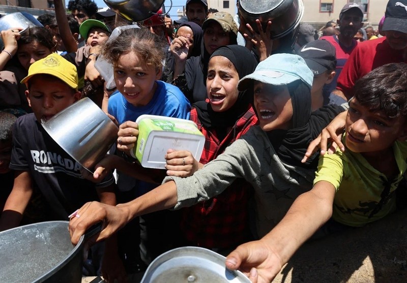 طالبان خواستار واکنش فوری جهان اسلام نسبت به فاجعه غزه شد طالبان خواستار واکنش فوری جهان اسلام نسبت به فاجعه غزه شد