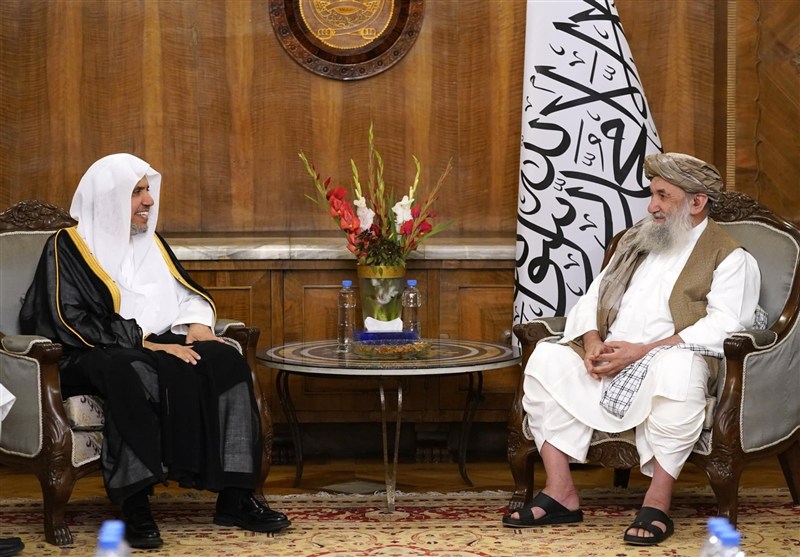 طالبان: علما حاکمان کشورهای اسلامی را برای حمایت از فلسطین تحت فشار بگذارند طالبان: علما حاکمان کشورهای اسلامی را برای حمایت از فلسطین تحت فشار بگذارند