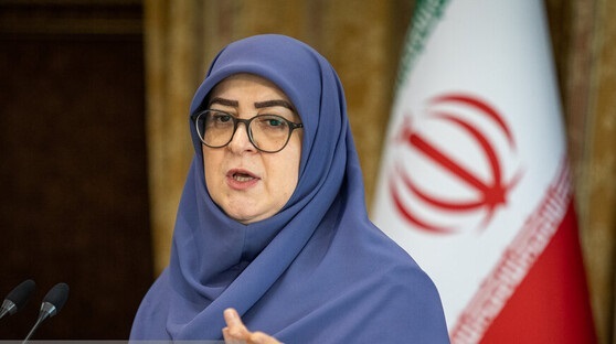 گفتوگو در خصوص مسائل هستهای با شرایط پیچیده مواجه شده است گفتوگو در خصوص مسائل هستهای با شرایط پیچیده مواجه شده است