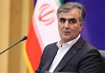 فرزین: وام ازدواج و خرد با فقط یک ضامن؛ بانک‌ها باید سریع اجرا کنند