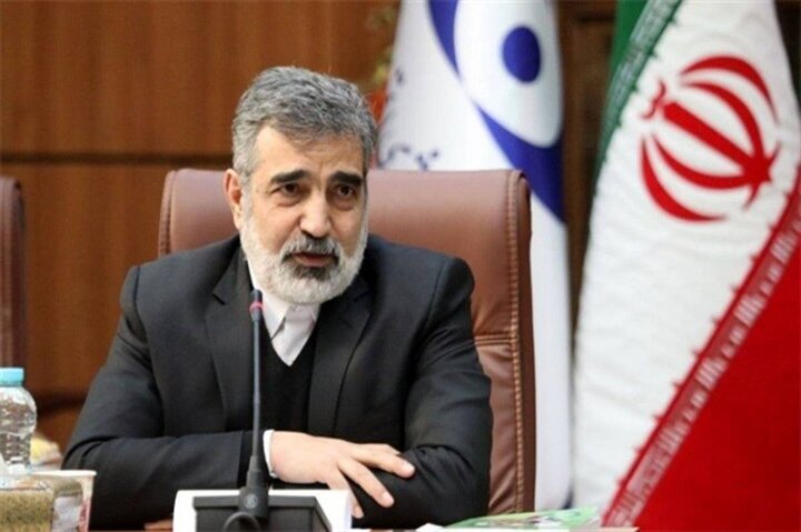 صنعت هسته‌ای دوباره خودش را شکوفا می‌کند