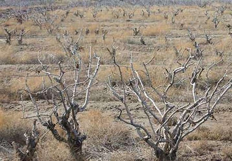امسال نسبت به میانگین بلندمدت، ۴۰ درصد کاهش بارش داشته‌ایم