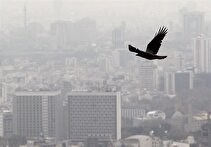رکود تاریخی در بازار مسکن تهران؛ میانگین قیمت‌ها دیگر معنای آماری ندارد