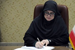 استرداد لایحه فضای مجازی در دولت تصویب شد
