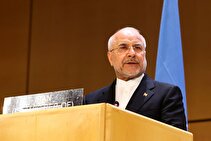ایرانیان خارج از کشور در جریان جنگ تحمیلی ۱۲ روزه در برابر وطن فروشان ایستادند