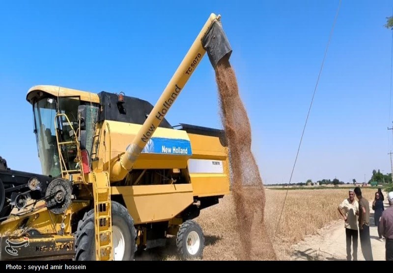 ۳۰درصد گندم کشور از برداشت تا مصرف هدر می‌رود