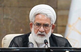 عفو معیاری محکومان رویکردی مهم در جهت تقویت بنیاد خانواده‌هاست
