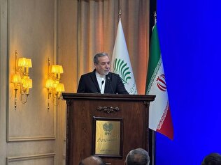 ایران قربانی یکجانبه‌گرایی و ماجراجویی‌های خطرناک آمریکا است/کشورهای زیادی تلاش دارند میان ایران و آمریکا میانجیگری کنند