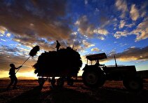 زنگ خطر برای ترکیه؛ از دست رفتن ۲.۵ میلیون هکتار زمین کشاورزی