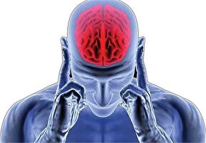 علائم و مراحل آغاز آلزایمر چیست؟/ توصیه‌هایی به خانواده‌های مبتلایان زوال عقل