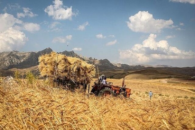 نرخ پیشنهادی خرید تضمینی گندم ۳۲ هزار و ۵۰۰ تومان/ جلسه شورای قیمت‌گذاری امروز برگزار می‌شود