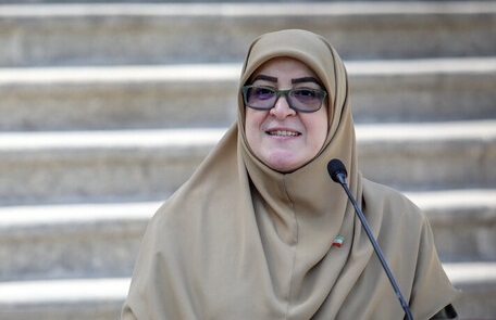مهاجرانی: دولت دیپلماسی استانی را فعال می‌کند/ایران با ۴۳ بازارچه مرزی؛ فرصت طلایی برای توسعه روابط منطقه‌ای