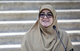مهاجرانی: دولت دیپلماسی استانی را فعال می‌کند/ایران با ۴۳ بازارچه مرزی؛ فرصت طلایی برای توسعه روابط منطقه‌ای