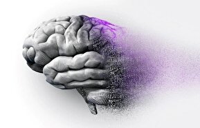 موسیقی به کاهش زوال عقل تا ۴۰ درصد کمک می کند