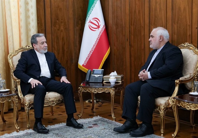 دیدار سفیر جدید ایران در هند با عراقچی دیدار سفیر جدید ایران در هند با عراقچی