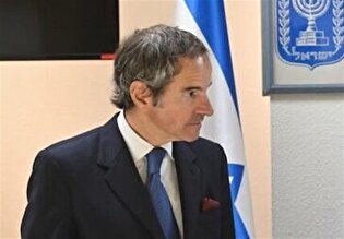 گروسی از تصمیم آلمان برای بازگشت به انرژی هسته‌ای خبر داد