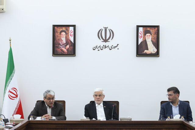 عارف: دولت حق ندارد خلاف منویات مردم کاری کند عارف: دولت حق ندارد خلاف منویات مردم کاری کند