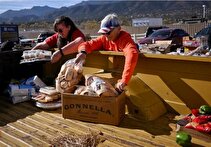 دیوان عالی به دولت آمریکا اجازه داد بخشی از بودجه کمک‌های غذایی را مسدود کند