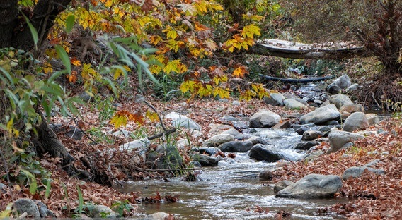 آیا مقایسه اقلیمی ایران با همسایگان درست است؟/خشکسالی در تهران؛ سهم اقلیم و خطاهای مدیریتی آیا مقایسه اقلیمی ایران با همسایگان درست است؟/خشکسالی در تهران؛ سهم اقلیم و خطاهای مدیریتی