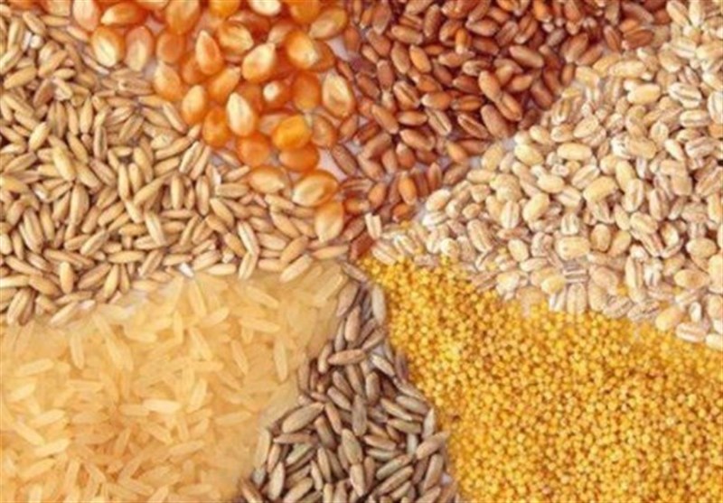 ضوابط جدید واردات نهادههای دامی اعلام شد ضوابط جدید واردات نهادههای دامی اعلام شد