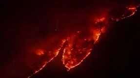 جنگل هیرکانی در آتش می‌سوزد