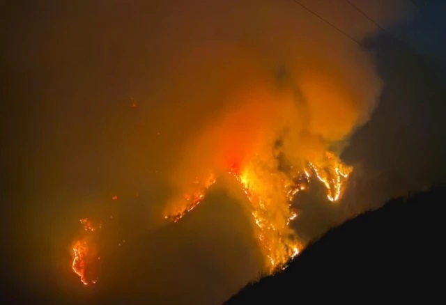 ضعف مدیریت در اطفای حریق جنگلهای هیرکانی موج میزند/ ضعف پایش و جدی نگرفتن مسوولان مربوطه موجب ایجاد وضعیت فعلی شد ضعف مدیریت در اطفای حریق جنگلهای هیرکانی موج میزند/ ضعف پایش و جدی نگرفتن مسوولان مربوطه موجب ایجاد وضعیت فعلی شد