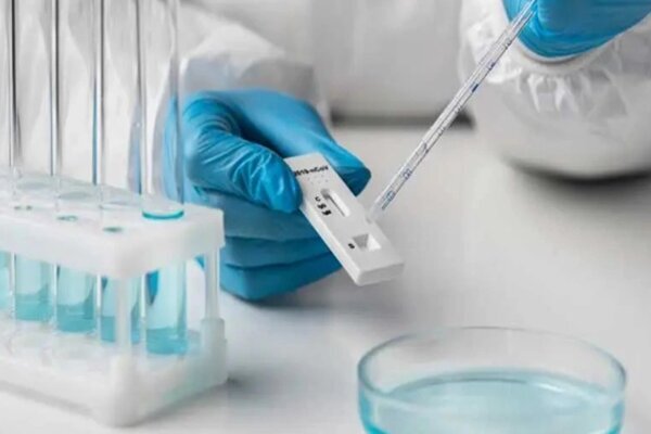 کیت نانویی سرطان روده را تشخیص می دهد کیت نانویی سرطان روده را تشخیص می دهد