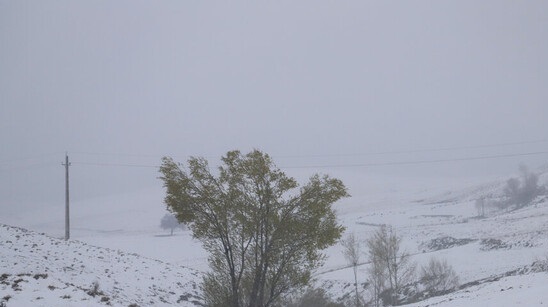 برف و باران در ۲۸ استان/ از سفر غیرضروری بپرهیزید برف و باران در ۲۸ استان/ از سفر غیرضروری بپرهیزید