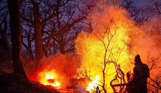 انصاری: آتش‌سوزی الیت ۲۰ روز مداوم نبود/ ضرورت تشکیل یگان ویژه اطفای حریق جنگل‌ها