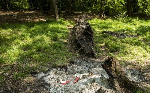 هیرکانی در اضطراب آتش بیتوجهی میسوزد/ گردشگرانِ ناآگاه، تهدید جنگلهای مازندران هیرکانی در اضطراب آتش بیتوجهی میسوزد/ گردشگرانِ ناآگاه، تهدید جنگلهای مازندران