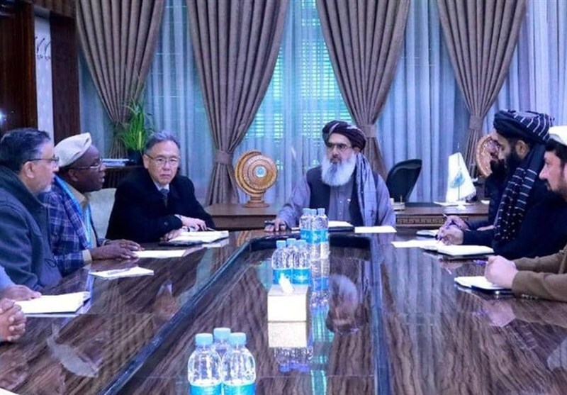 طالبان: همکاری بینالمللی در بهبود نظام بهداشتی افغانستان حیاتی است طالبان: همکاری بینالمللی در بهبود نظام بهداشتی افغانستان حیاتی است