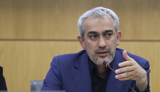 دولت برای مهار التهابات اقتصادی برنامه دارد دولت برای مهار التهابات اقتصادی برنامه دارد