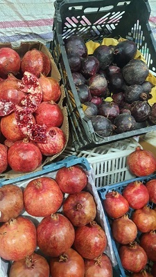دلربایی انارهای سرخ ساوه در شب یلدا/ حال و هوای شهر انار در بلندترین شب سال