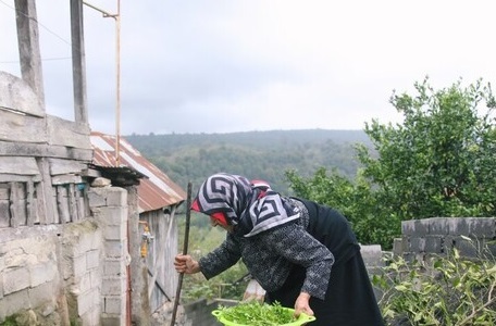 شیوع بالای «سالمند آزاری»/ هشدار؛ سوءبرداشت‌ها از «لوس شدن سالمندان»