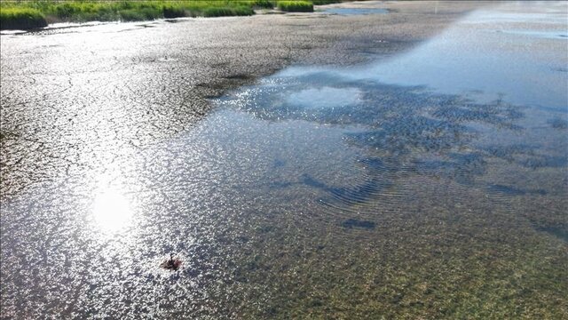 بحران آب تهران به مرز تنش جدی رسیده است