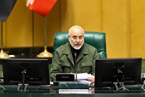 رئیس‌مجلس: مشکل آلودگی هوا با اقدامات کوتاه مدت حل نمی‌شود