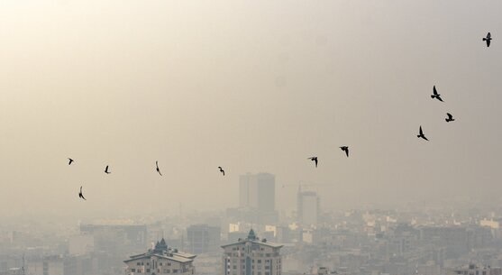 شرایط بسیار خطرناک آلاینده‌ها در البرز/تمدید دورکاری ادارات و آموزش غیرحضوری