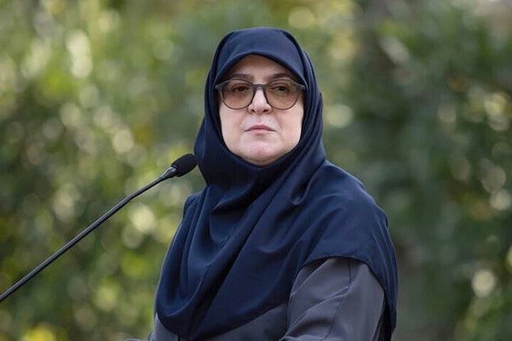 مهاجرانی: پل و انستیتو پاستور،نماد توان علمی ایران‌اند
