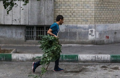 وزش باد شدید و احتمال طوفان گرد و خاک در تهران/ بارش باران و رعد و برق وزش باد شدید و احتمال طوفان گرد و خاک در تهران/ بارش باران و رعد و برق