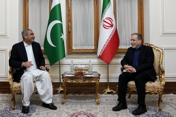 وزیر کشور پاکستان با عراقچی دیدار کرد وزیر کشور پاکستان با عراقچی دیدار کرد