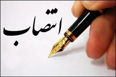 نجارزاده مشاور وزیر اقتصاد شد