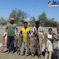 ماهی‌هایی را که سیل با خود آورده است + عکس