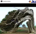 پست متفاوت بازیگر زن ایرانی در اینستاگرام+ عکس
