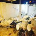 تصویر موتورهای قاچاق در منزلی در هرمزگان+عکس