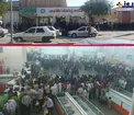 عکس/ صف مرغ در بوشهر!