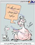 عکس/ 65 درصد ایرانی ها اضافه وز‌ن دارند!