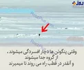 افسردگی پنگوئن ها +عکس