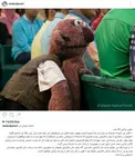 پست اینستاگرامی جدید رامبد جوان