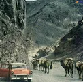 عکس/ جاده چالوس، ۵۰ سال پیش!