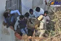 به دام انداختن پلنگی که وارد خانه مسکونی شد/عکس